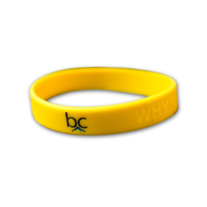 Wristband