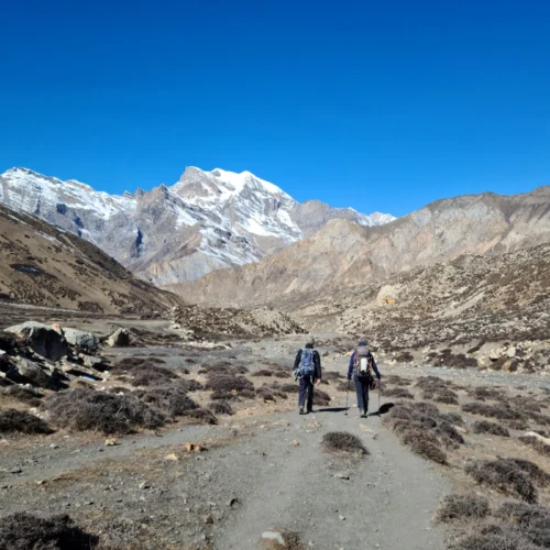 Himlung Himal (7126 Meters)