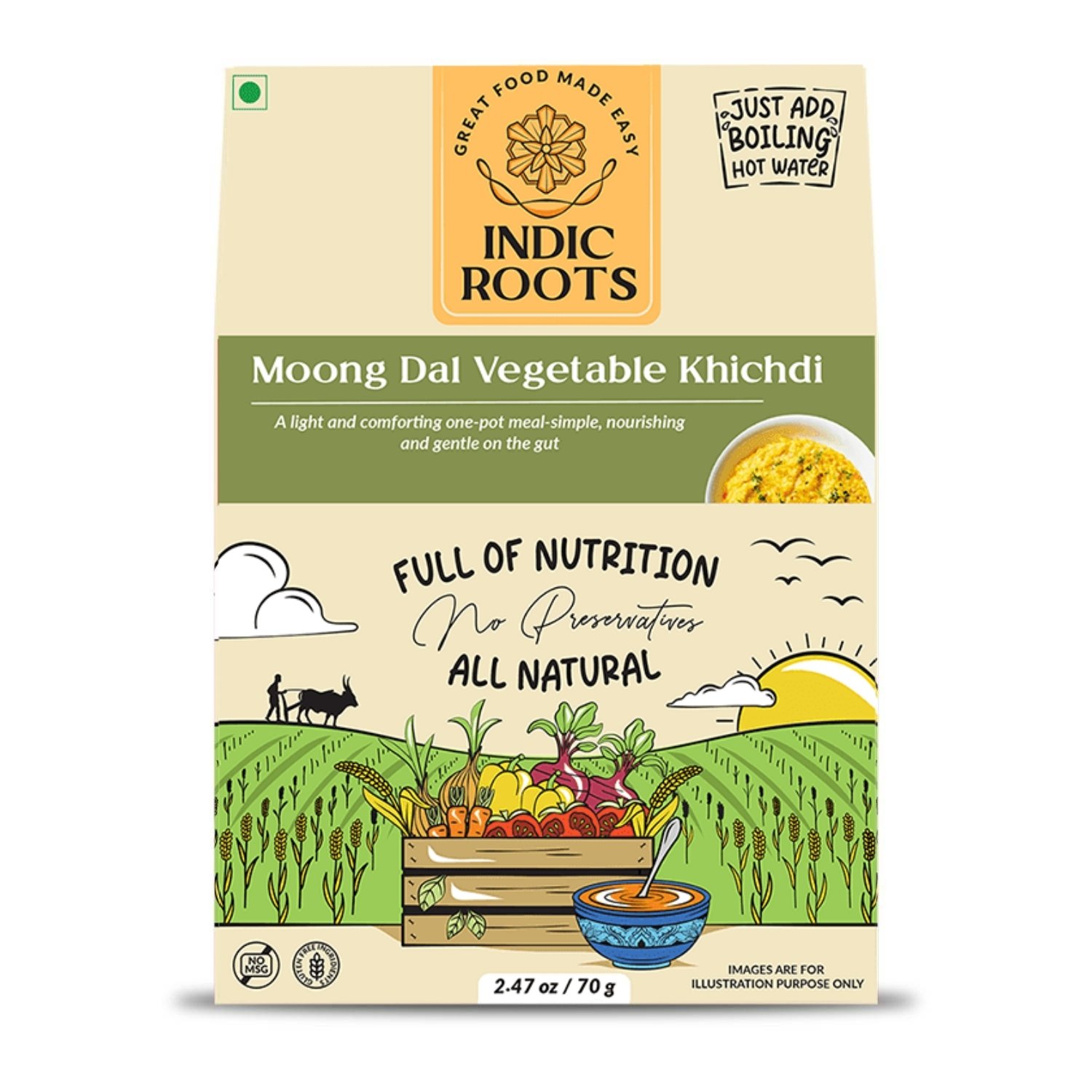 Moong Dal Vegetable Khichdi